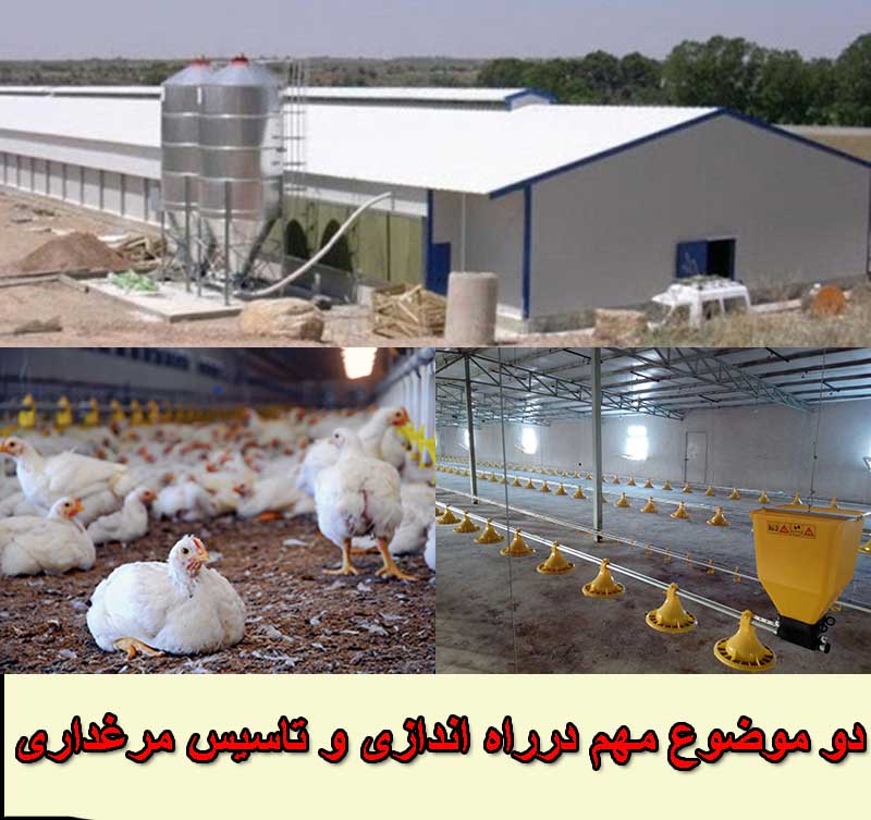 2 موضوع فوق العاده مهم در مورد تاسیس و راه اندازی مرغداری