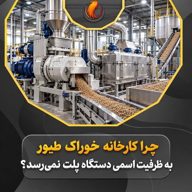 چرا کارخانه خوراک طیور به ظرفیت اسمی دستگاه پلت نمی‌رسد؟