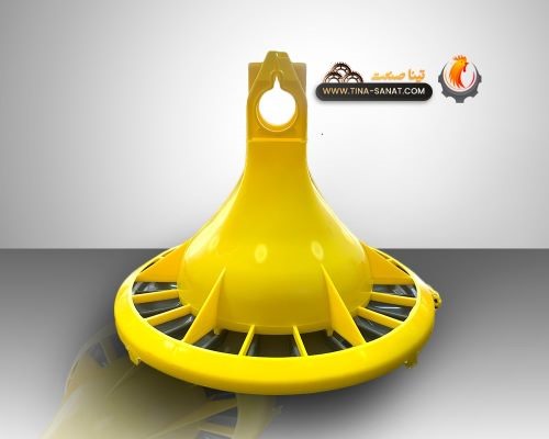 دانخوری بشقابی چیکن