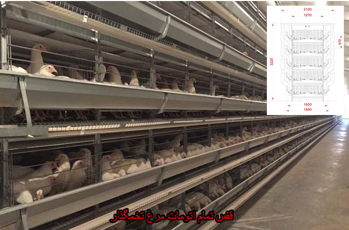 قفس مرغ تخمگذار
