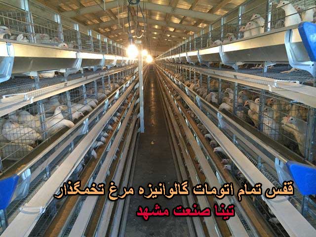 قفس مرغ تخمگذار باتری تمام اتومات 