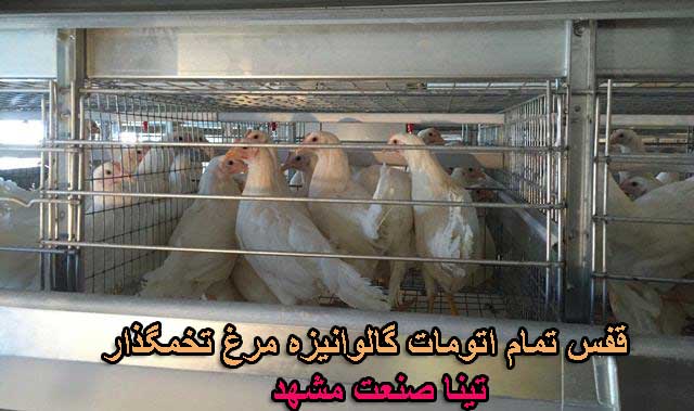 قفس مرغ تخمگذار باتری تمام اتومات 