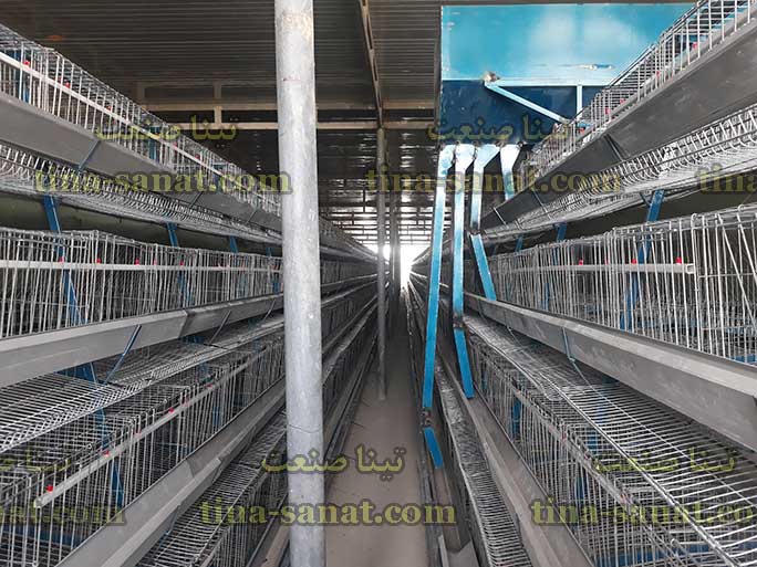 قفس منبری مرغ تخمگذار