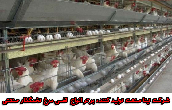 قفس مرغ تخمگذار