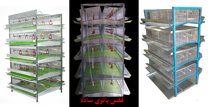 قفس مرغ تخمگذار