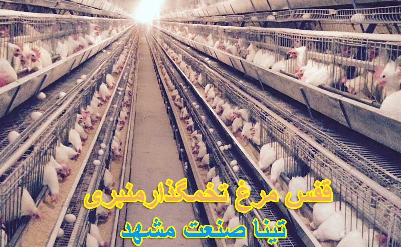 قفس مرغ تخمگذار منبری