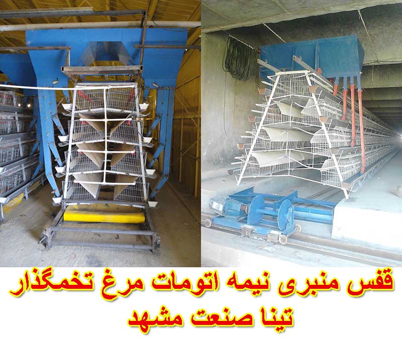 قفس مرغ تخمگذار منبری نیمه اتومات