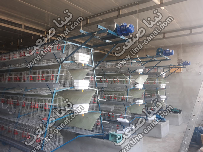 قفس منبری مرغ تخمگذار