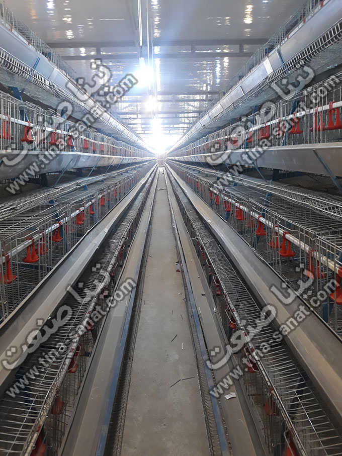 قفس منبری مرغ تخمگذار